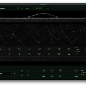 THORN AMP