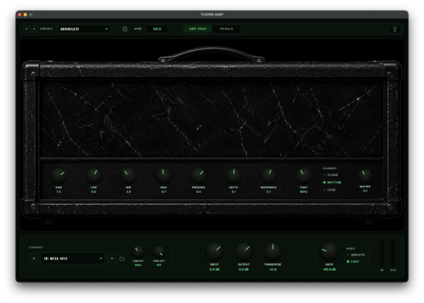 THORN AMP